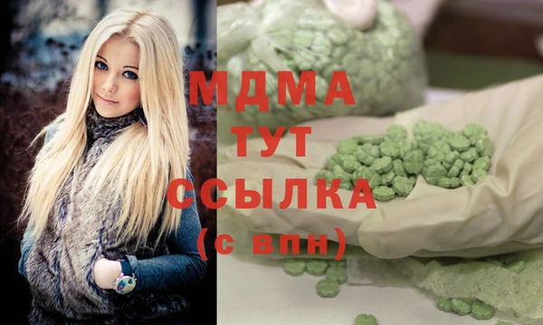 spice Богородицк